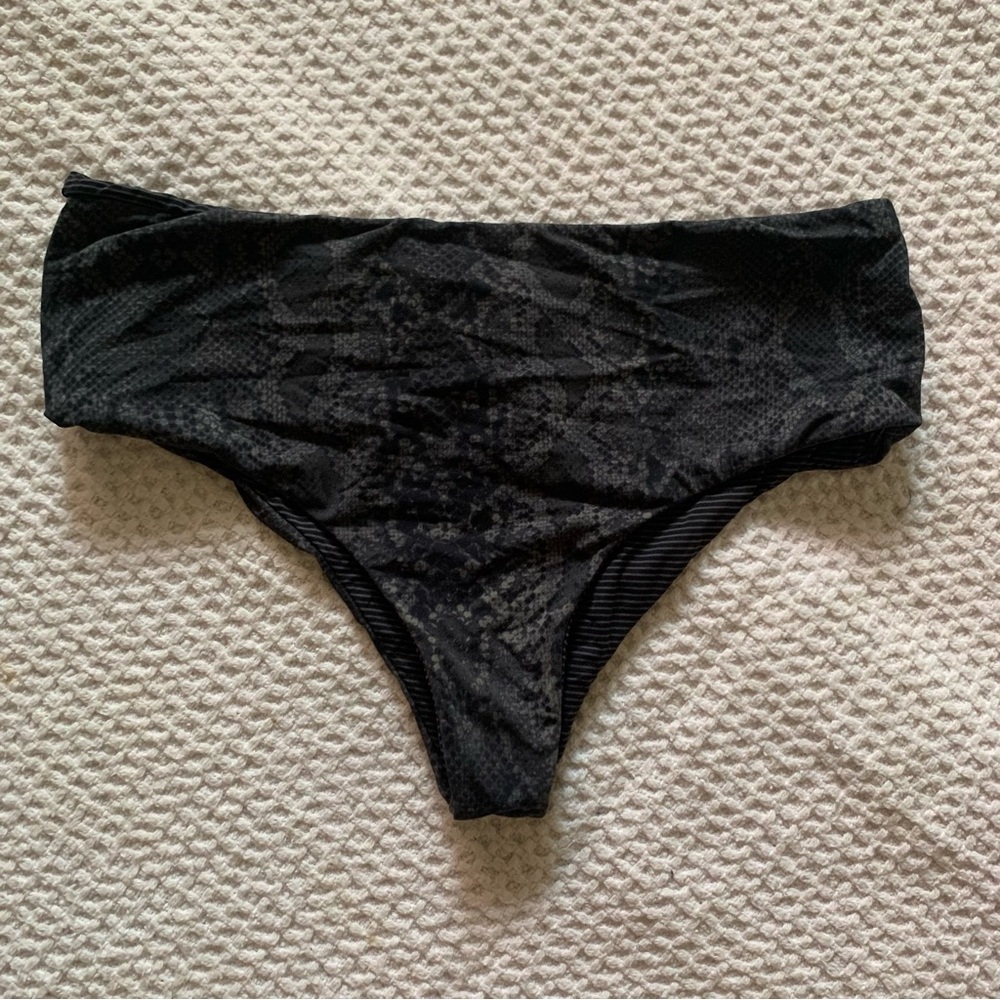 Acacia bikini - Picture 1 of 4